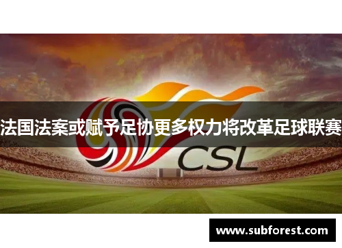 法国法案或赋予足协更多权力将改革足球联赛
